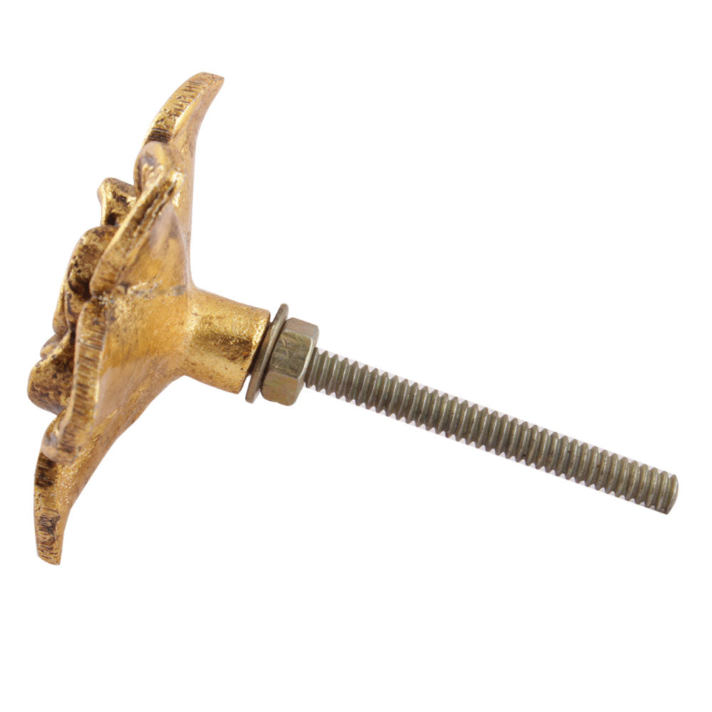 Knott Gull Rose - 5cm