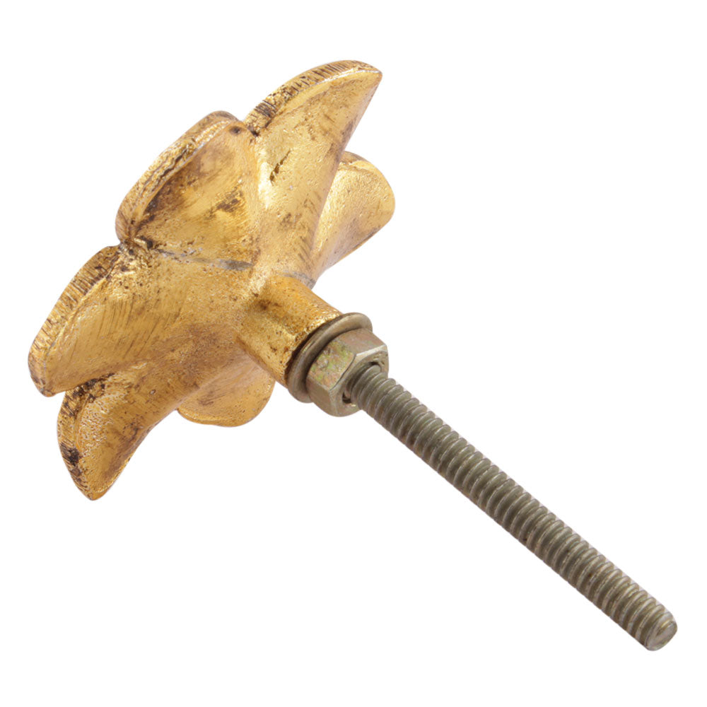 Knott Gull Rose - 5cm