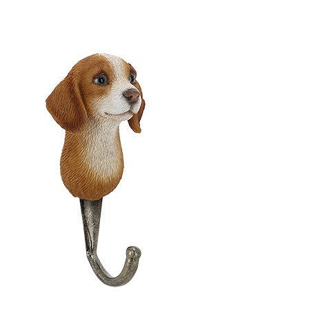 knagg hund Beagle