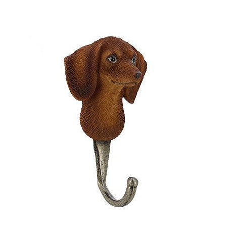 knagg hund Dachs