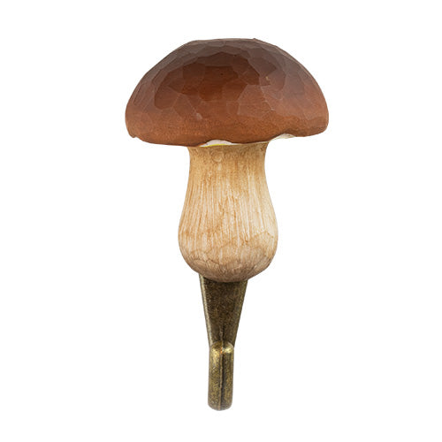 knagg krok sopp steinsopp brun wildlife garden