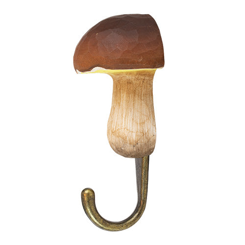 knagg krok sopp steinsopp brun wildlife garden