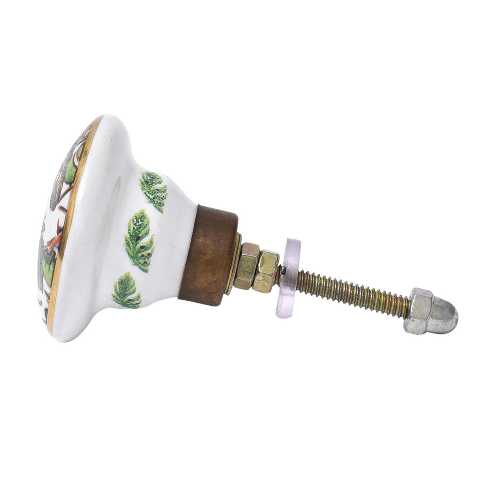 knott håndtak natur papegøye planter