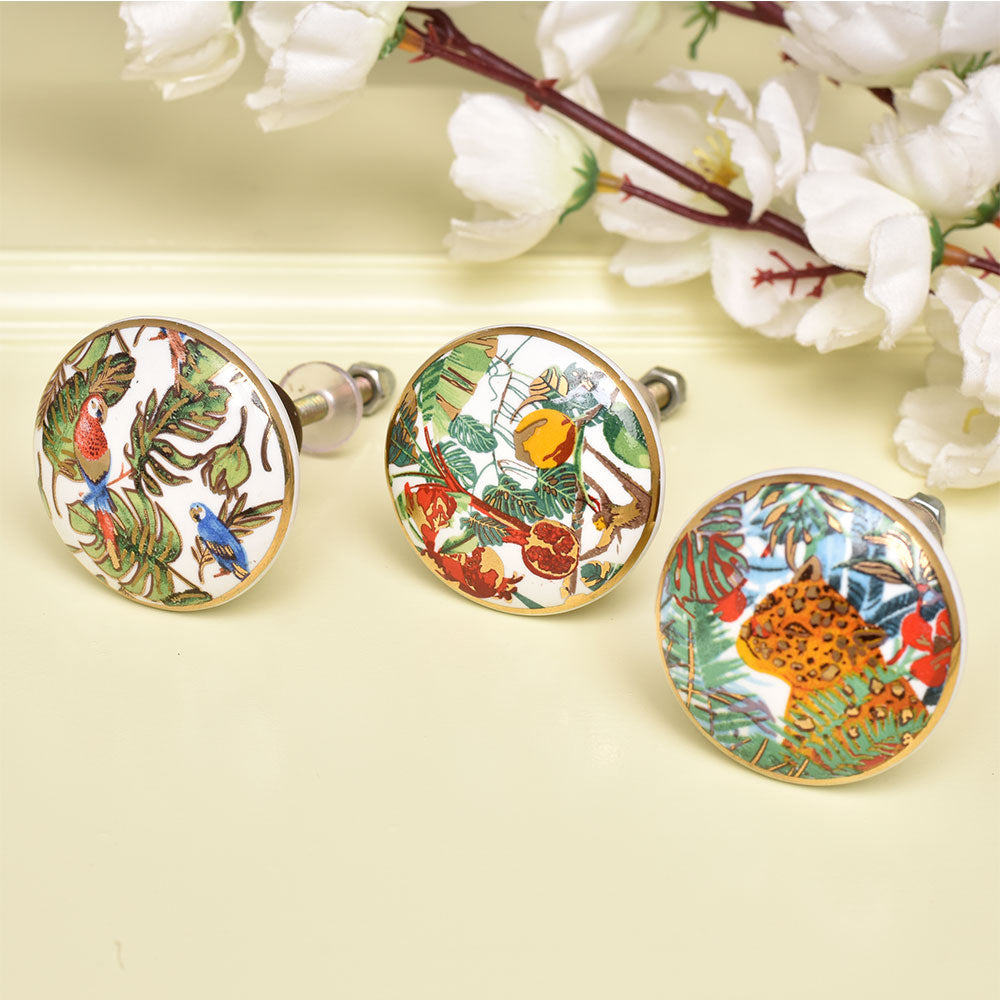 knott håndtak natur papegøye planter blader fargeglad