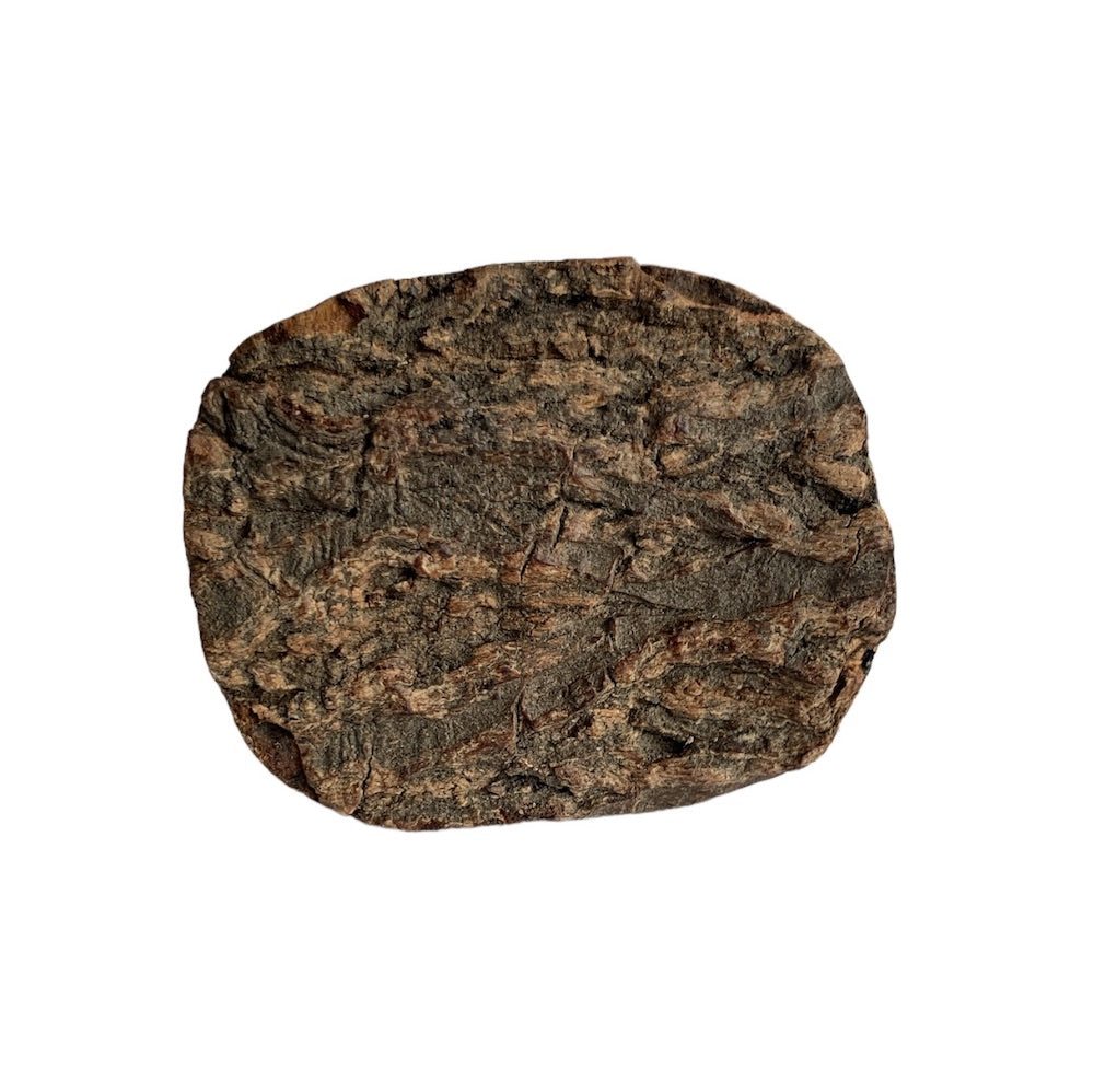 knott treverk bark rustikk hytte interiør