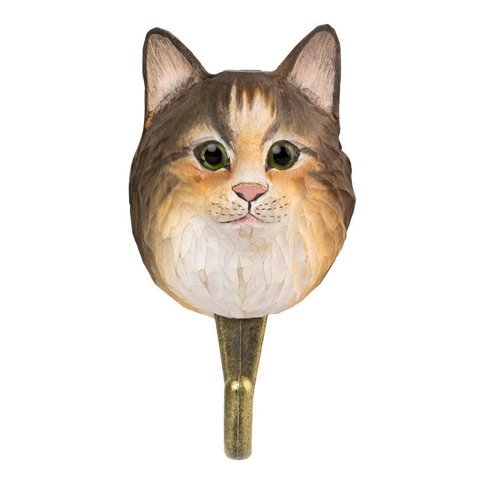 Solid veggkrok norsk skogkatt som