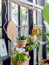 stor dekorativ knagg plante planteblad bloomingville